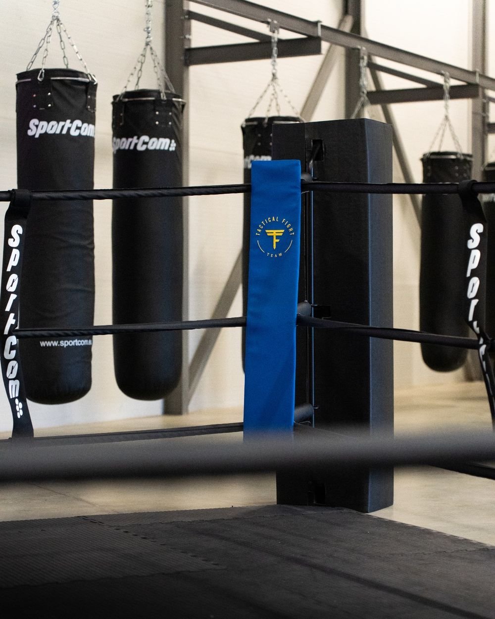 Le ring de boxe du Tactical Fight Team Albi